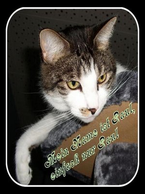 cover image of Mein Name ist Paul, einfach nur Paul